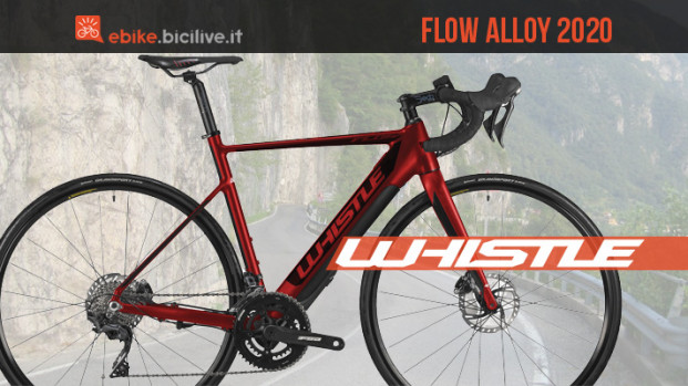 Whistle Flow Alloy 2020: una e-Road performante ed economica