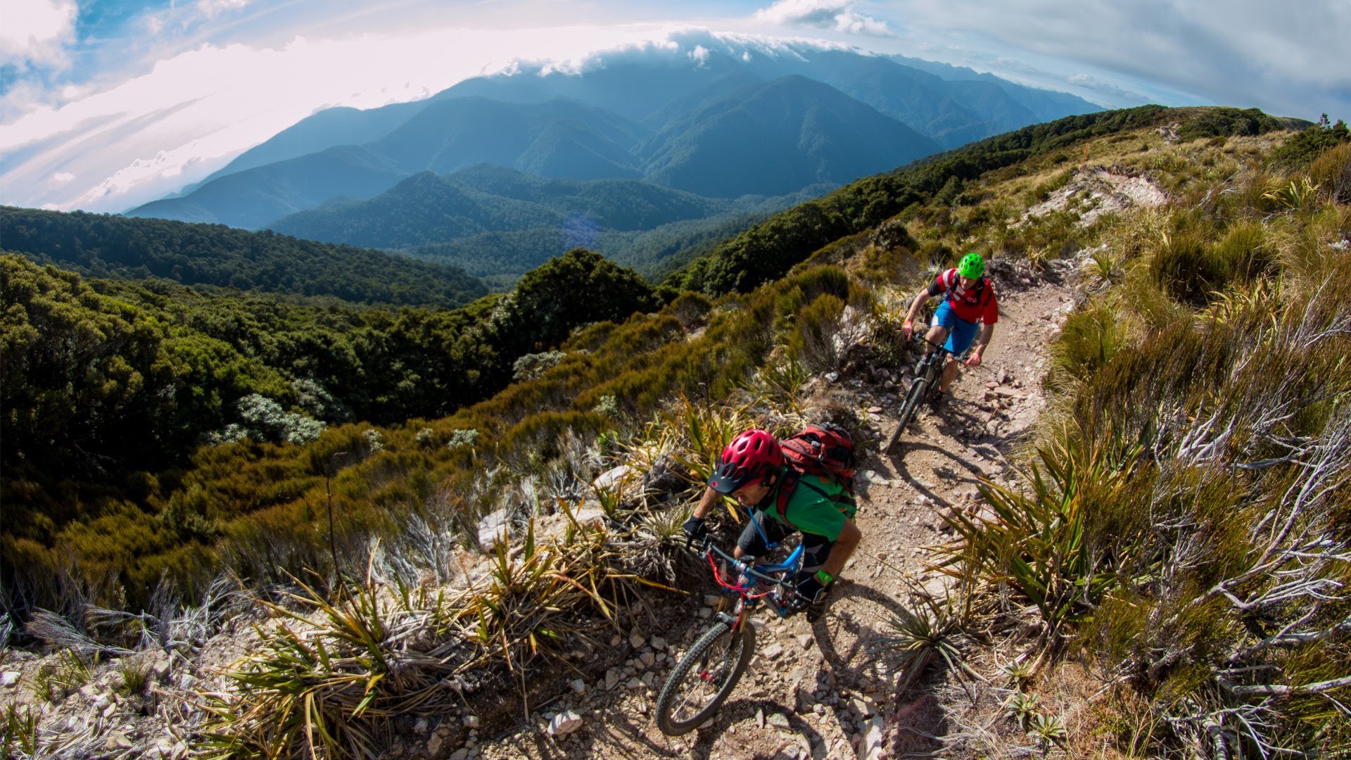 JustMTB – Discover New Zealand