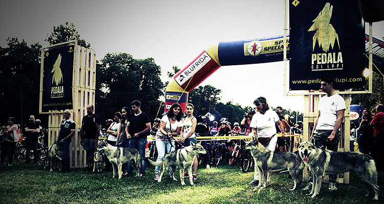 Pedala coi Lupi, episodio II