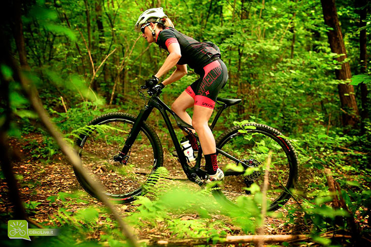 Presentazione Specialized 2015: 650b per trail, enduro e DH, gamma 29″ rivista