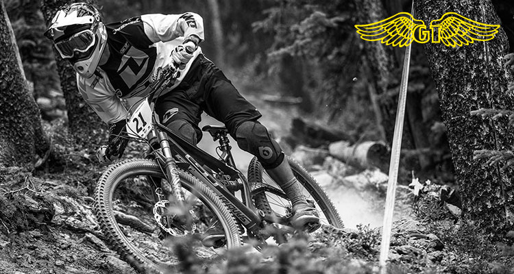 Garanzia a vita per alcuni modelli e componenti GT