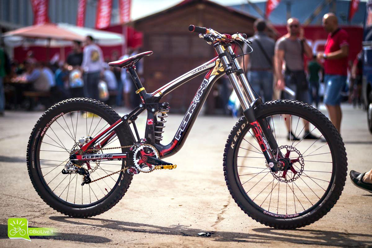 Pedroni Lion Carbon | Anteprima ExpoBici 2013