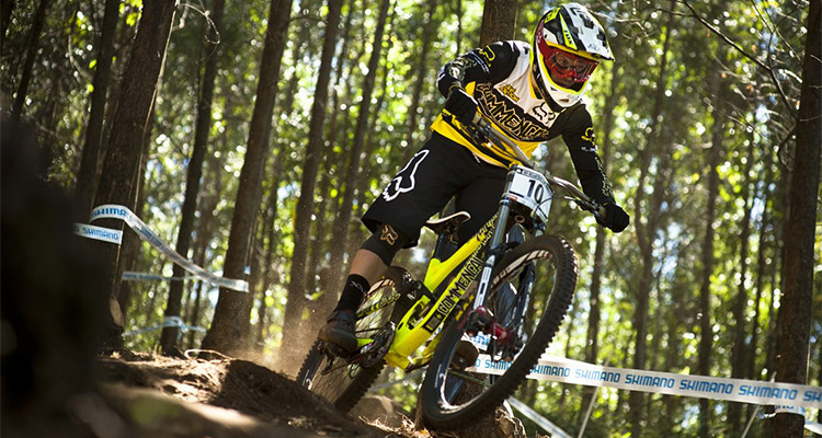 RIE Cycle dà il benvenuto a Gamut USA