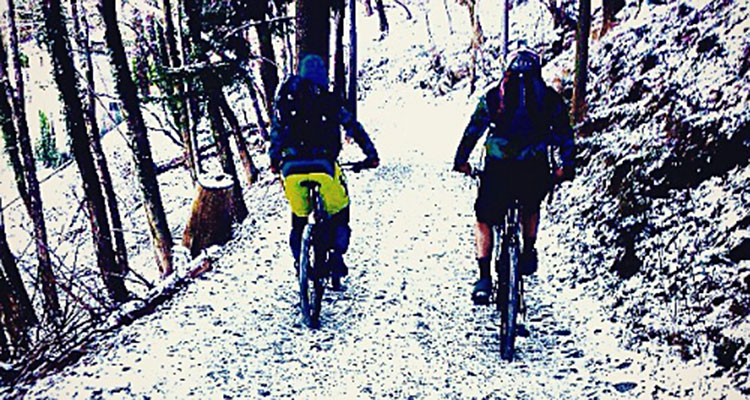 bicilive.it/instagram