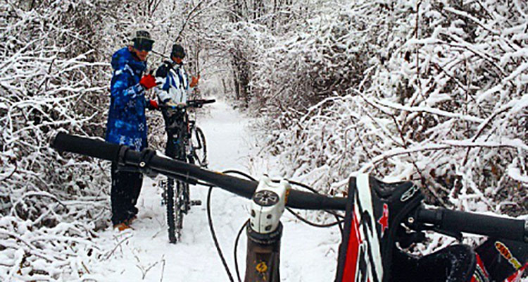 bicilive.it/instagram