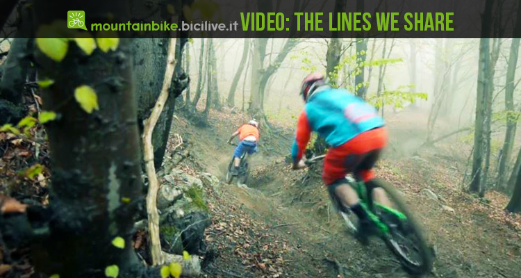 Video Mtb: The Lines We Share