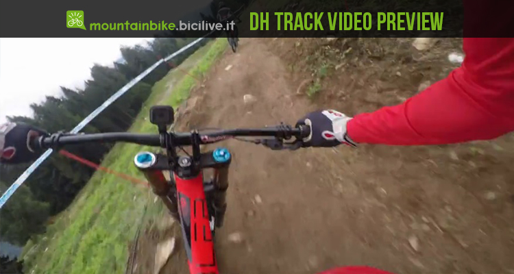 Video: Claudio Caluori prova il percorso dh in Val di sole