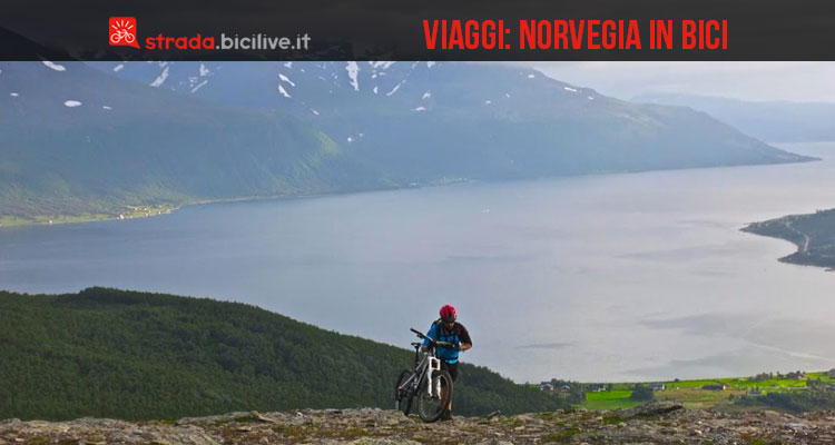 Norvegia in bici: come organizzare il viaggio