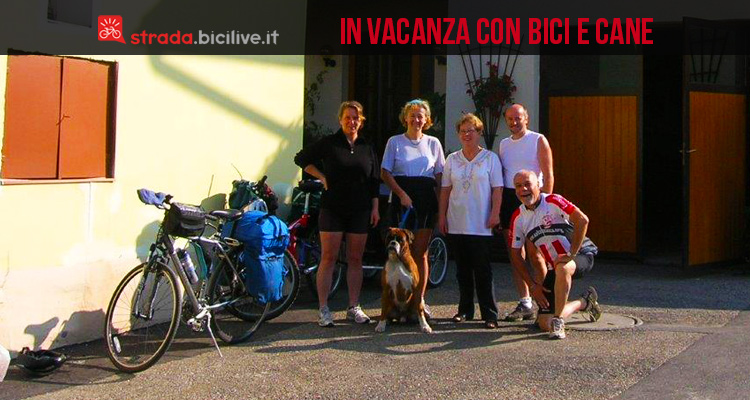 In vacanza con bici e cane alla ricerca di “let&lat”