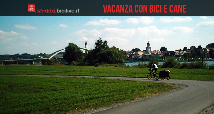 Vacanze in bicicletta con cane e carrellino: se no i xe mati, no li volemo