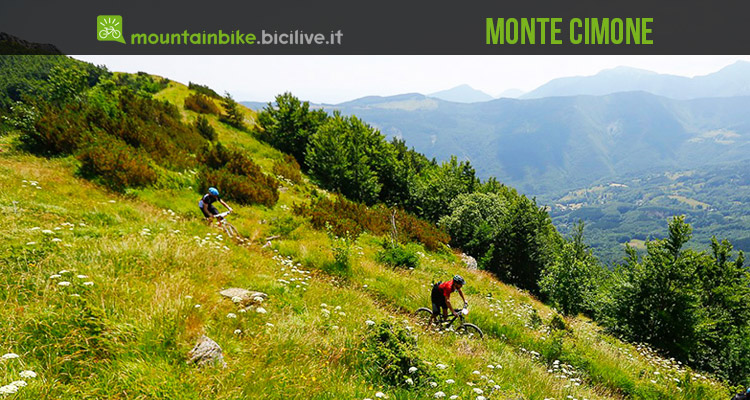 Monte Cimone: un paradiso estivo per tutte le discipline mtb