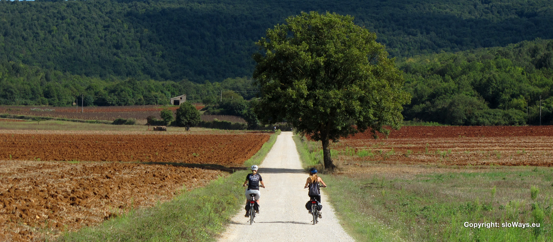 Via Francigena in bici: 1000km di pista ciclabile da Aosta a Roma