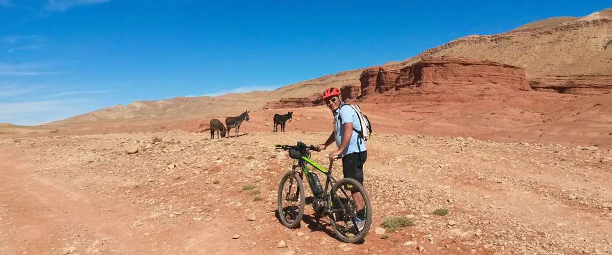 Tour ebike: 400km in Marocco senza allenamento