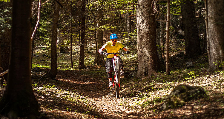 Intervista a Ezio Cattani: MTB, passione e trail building