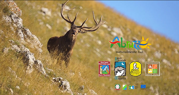 Wolfbiketour: nella terra dal grande cuore