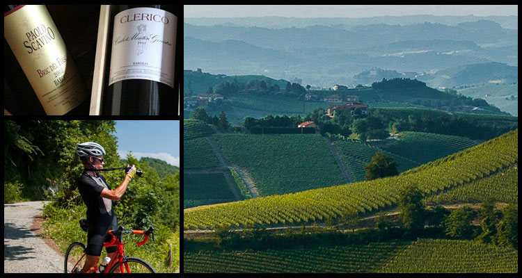Terroirselection, bike and wine tour