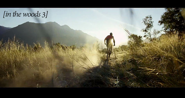 In the Woods 3: è giunta l’ora