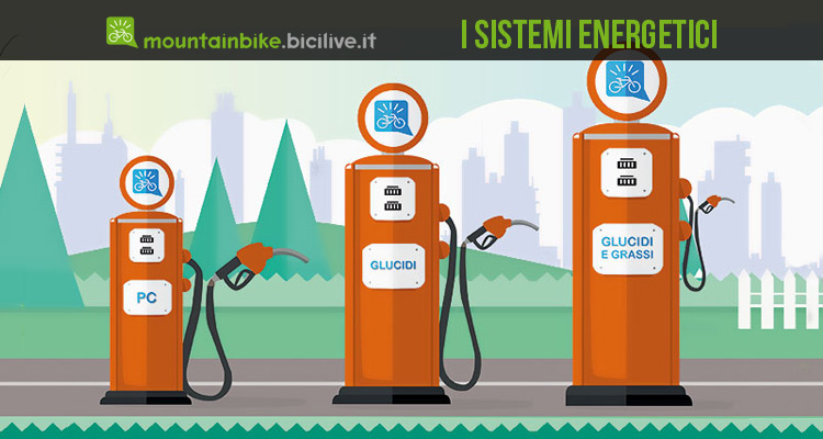 Allenamento bici: i sistemi energetici