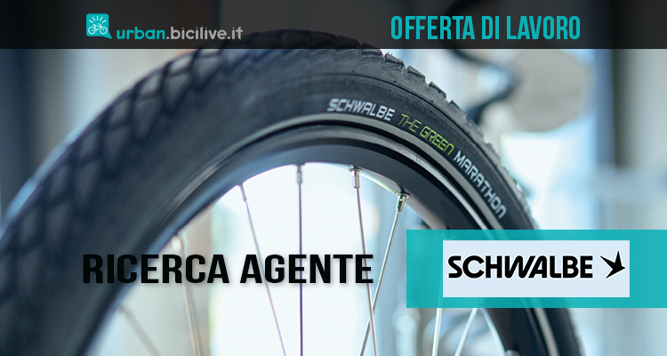Offerta di lavoro da Schwalbe