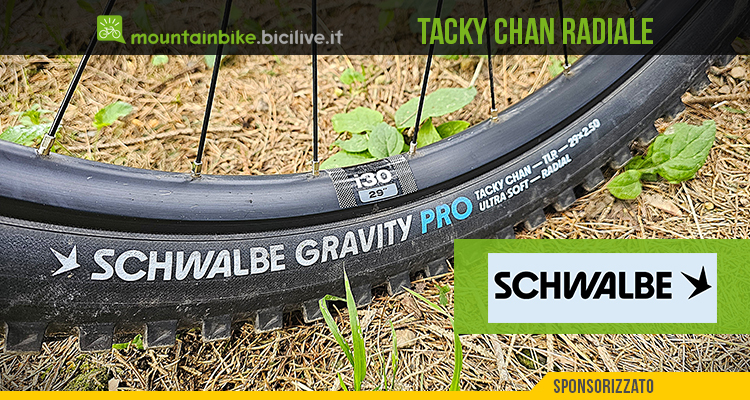 Test pneumatici Schwalbe Tacky Chan Gravity Pro radiali: più sfruttabile e più grip